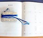 나홀로 떠난 여행 上