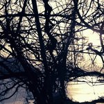 ★ 사진有) 연기자 김해림 오타쿠?? 촬영현장에서 오타쿠된 스텝들...