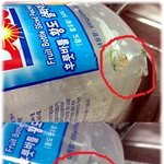 유명대형마트<b>황도</b>애벌레