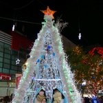 사진有) 남포동 트리축제에 나타난 짐승녀들★