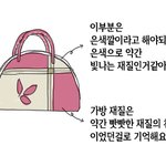 ★사진,그림有★초6때 휴게소에서 잃어버린 카메라든 가방을 찾아요ㅠㅠ