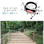 <b>한때</b> 아름답기로 손 꼽히던~~