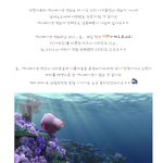 화려한 <b>영상</b>으로 들려주는 바다 <b>속</b> 웃음과 감동스토리!
