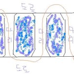 체육선생님과의 짝사랑 ? 로맨스 ? -  16