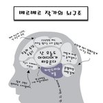 다른 분 감상평에 주인공들 뇌 구조가 있어서 퍼왔어요