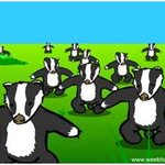 중독성강한 <b>후크송</b>..?