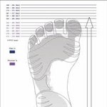 늬들말하는 170.7, 173 ,174,187