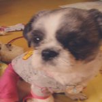 1시간35분 기다렸는데 승차거부.. 버스승차거부당했어요ㅠㅠㅠ