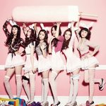 이트라이브의 달샤벳 새로운 사진