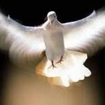 리플라이_xx한 x독 존재이유......모두 보세요?