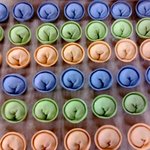 (사진有)나름평범하다고생각하는우리집2