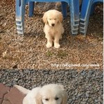 화쏠사진 <b>여깃</b>다~ㅇ_ㅇ