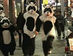 멍청이들아 2차전 <b>돌입</b>하자