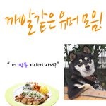 <b>상하</b>의<b>상하</b>의상하의