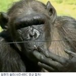 지금은 a형 남자 상담중.. [ a형 남자와 <b>b</b>형 여자편..]