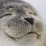 <b>고마</b>해라