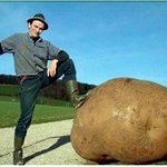 (사진有)나름평범하다고생각하는우리집4