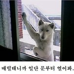 나도 번호 따여보고 싶다/본인사진 첨부 5분만 공개