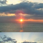 토끼 마중갔다 왔스예~