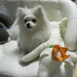 똥꼬터질것같은 내친구