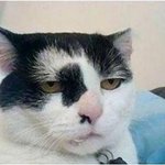 날 또 잠시 설레게 했던 남고딩