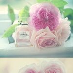 선물의의미/직설적인의미는??