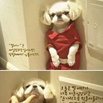 나는,, 오늘도 <b>표정연기</b>가 늘어간다,,