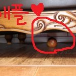 사진有)지극히 평범한 우리가족3