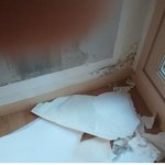 <b>서민</b>의 보호를 국가가 해야한다