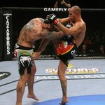 [스포츠]김동현 선수의 통쾌한 5연승과 이종격투기 기술정보 올려요