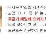 목감기에 <b>도라지청</b>