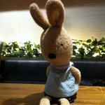 스키장에 토끼 데리고 가면 이상한가요??