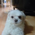 오래된 이야기(1)