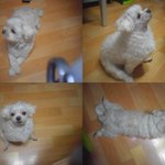 아무도 알려주지 않은 이야기-어리석은 <b>똘</b>이엄마가 미쳐몰랐던 것들