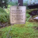 너만 <b>고사리</b>삼??????