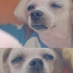 오늘은 3시반찍엇구나