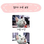 <b>칼리</b>의 하루 표정