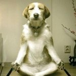 ★미친존재감 쌍둥이파워 2탄★