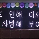 과학고 친구의 프로포즈!!! 도와줬어요 ^^