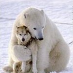 아 <b>춥다</b>