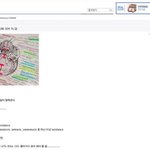 다른 <b>인간</b> 같은 <b>세계</b>