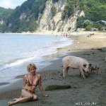 ^<b>oo</b>^ 돼지축사를 관리하는 처자입니다~~~