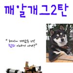 <b>이런</b> 깨알같은 <b>유머</b>... 눈물나겠어 ㅜㅜ