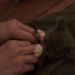 간질간질간질 <b>wow</b> !