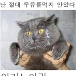20대 판 복귀를 <b>선언</b>합니다