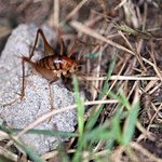 나는요 오빠가 좋은걸 어떡해~(짝사랑) 5탄