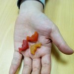 어린이 영양제 하나 구입했습니다.^^
