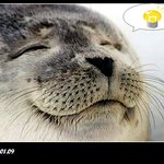 지하철의 퀴즈 할아버지