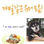 <b>깨알</b>같은 유머모음 ㅋ
