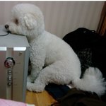 꼭꼭 부탁드려요 제발읽어주세요 !!!!ㅠㅠ